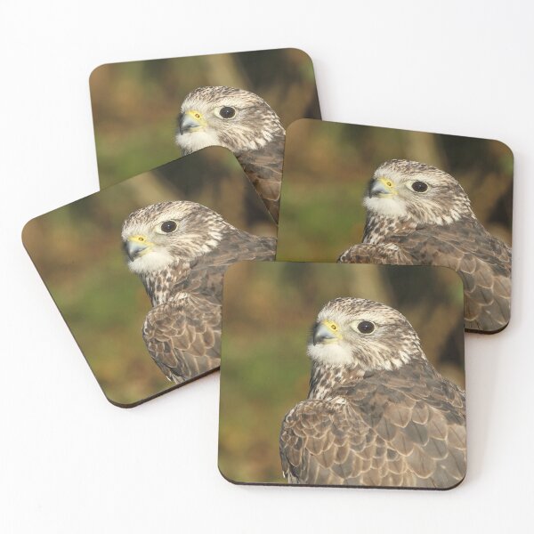 Item preview, Gyrfalcon designed and sold by Jane Stanley Photography.