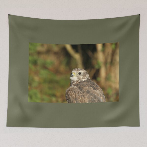 Item preview, Gyrfalcon designed and sold by Jane Stanley Photography.