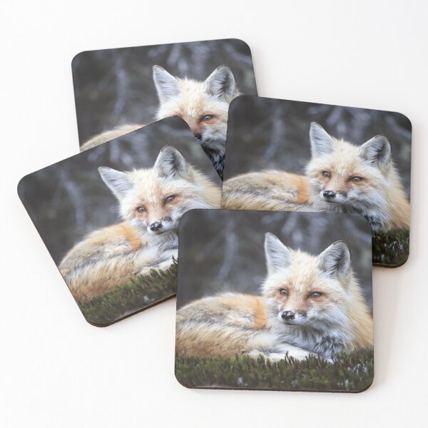 Item preview, Red Fox designed and sold by mlorenz.