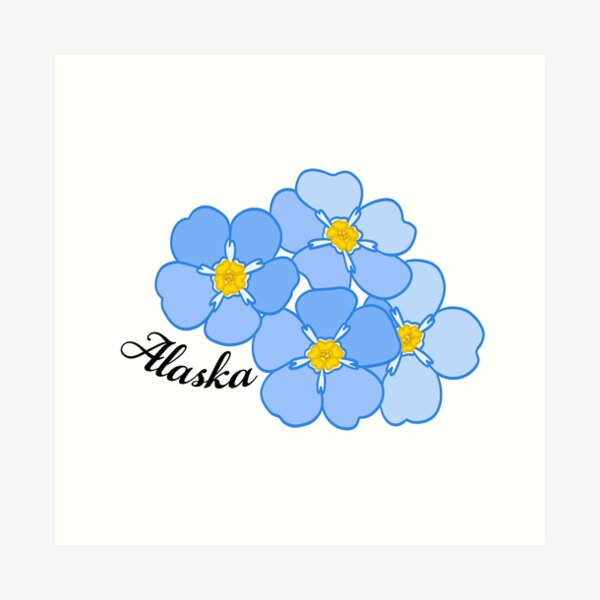 Forget-me-nots- Alaska's State Flower- Gouache art print