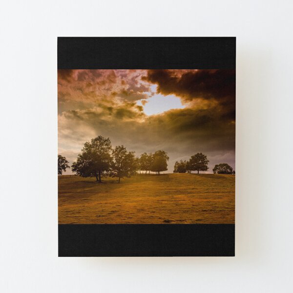 Dark landscape, stormy sky Wood Mounted Print