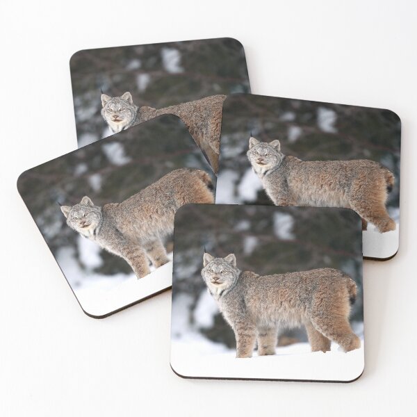 Item preview, Canada Lynx designed and sold by mlorenz.