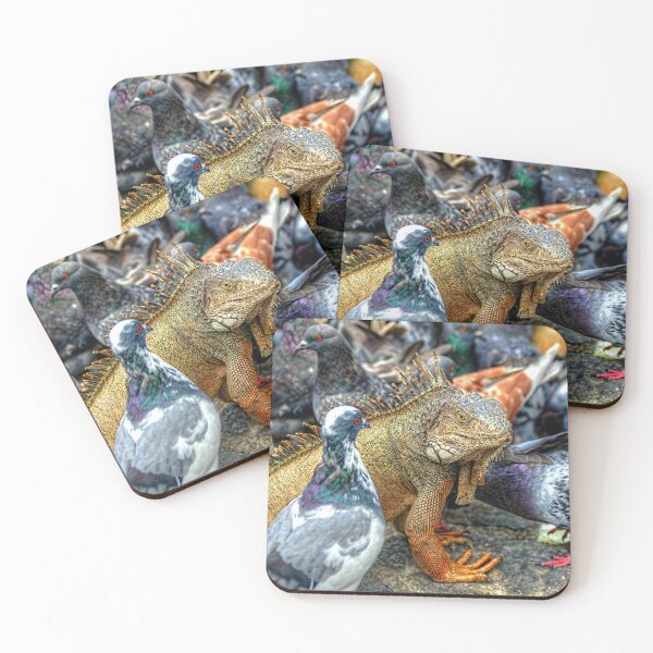 Item preview, Pigeon & Iguana wondering Why can't we be Friends? designed and sold by Steven Kight.