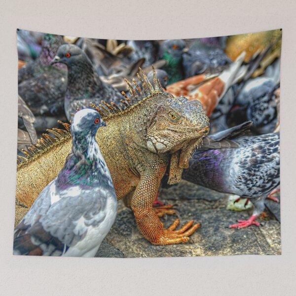 Item preview, Pigeon & Iguana wondering Why can't we be Friends? designed and sold by Steven Kight.