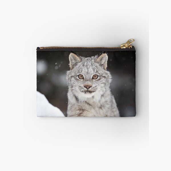Artikelvorschau, Kanada-Luchs-Kätzchen entworfen und verkauft von mlorenz.