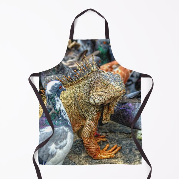 Item preview, Pigeon & Iguana wondering Why can't we be Friends? designed and sold by Steven Kight.