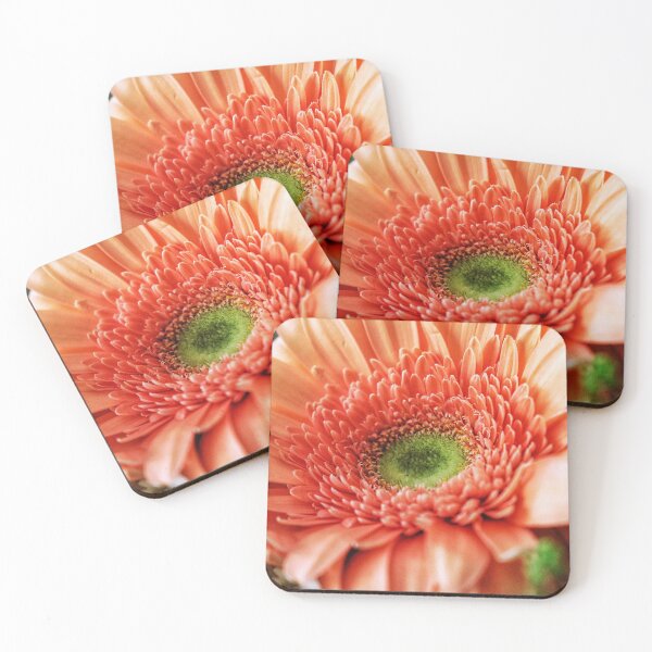 Item preview, Orange Daisy designed and sold by thegspt.