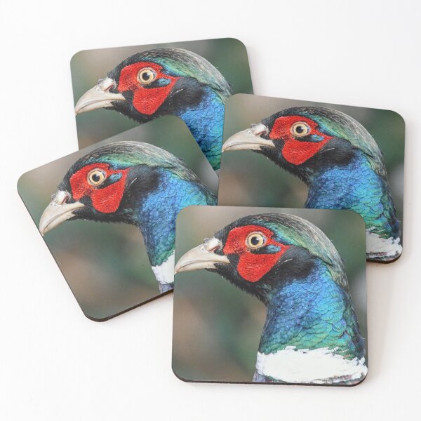 Item preview, Pheasant,  Scottish Borders designed and sold by yourscotborders.