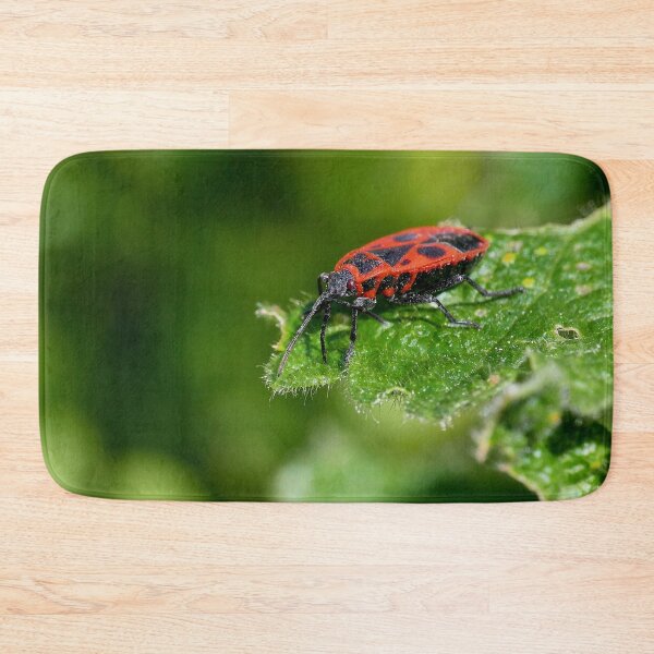 Item preview, Du Haut de ma feuille ! je contemple le Monde " From the top of my leaf ! I contemplate the world " Pyrrhocoris apterus" Okaio Créations  Olavia&Olao designed and sold by o.okaïo.
