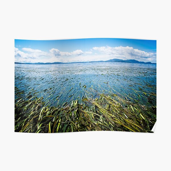 Ebb&Flow Poster