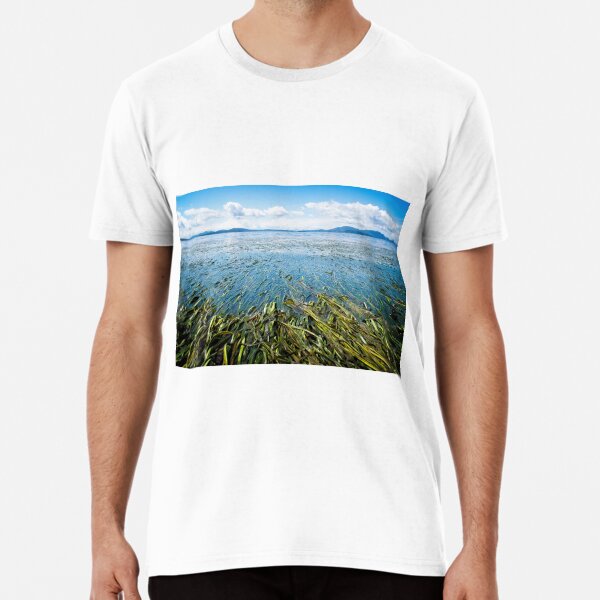 Ebb&Flow Premium T-Shirt