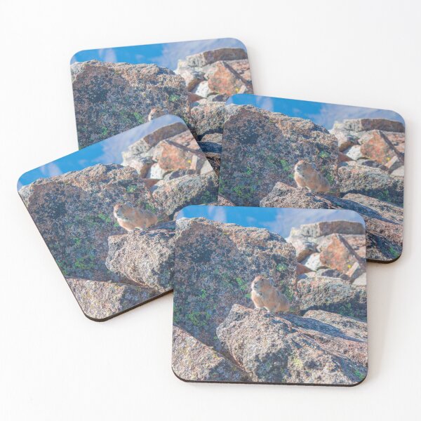 Item preview, Cenar designed and sold by KazzaKphotos.