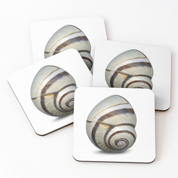 Item preview, The snail in the cold season. designed and sold by Marc DEFORTESCU.