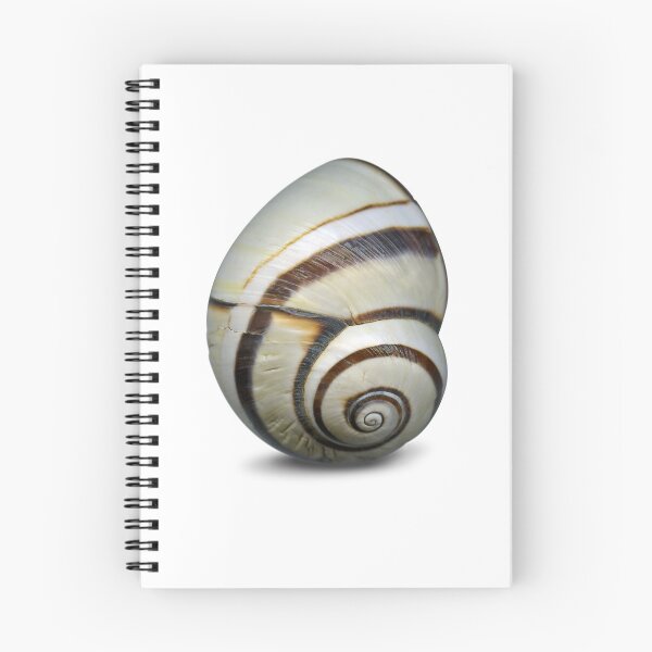 Item preview, The snail in the cold season. designed and sold by Marc DEFORTESCU.