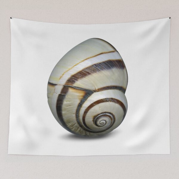 Item preview, The snail in the cold season. designed and sold by Marc DEFORTESCU.