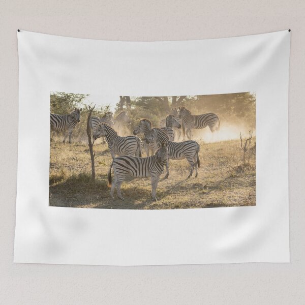 Item preview, Zebras in the dust, Caprivi, Namibia designed and sold by Andrew Goodall.