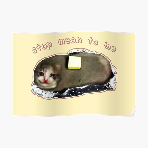 I Draw Sad Baked Butter Potato Cat Meme Poster 