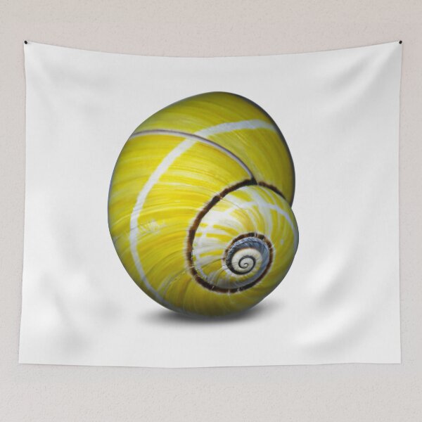 Item preview, The snail walks in fine weather. designed and sold by Marc DEFORTESCU.