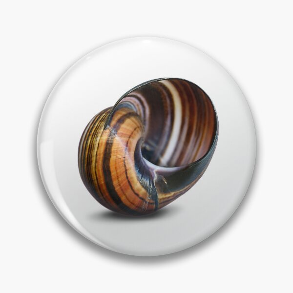 Item preview, The rain makes the snails appear. designed and sold by Marc DEFORTESCU.