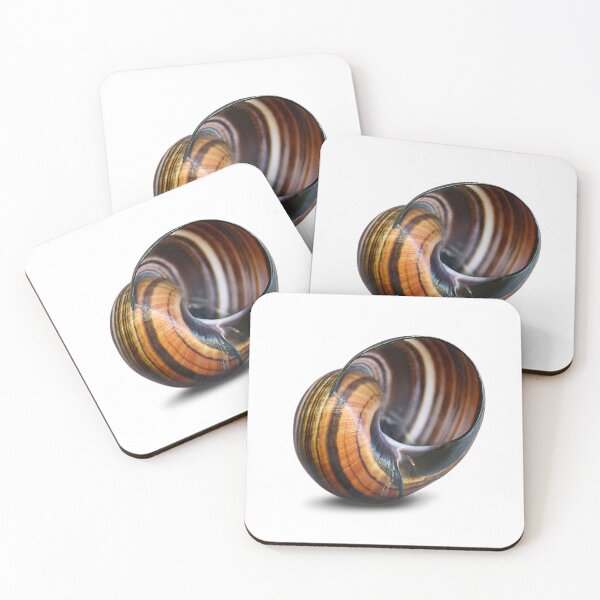 Item preview, The rain makes the snails appear. designed and sold by Marc DEFORTESCU.