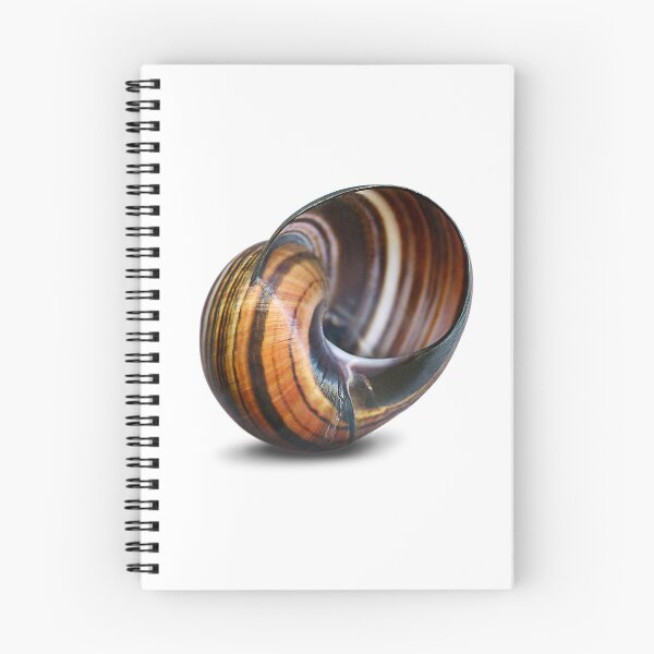 Item preview, The rain makes the snails appear. designed and sold by Marc DEFORTESCU.