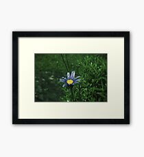 Rain drops on flowers Framed Print