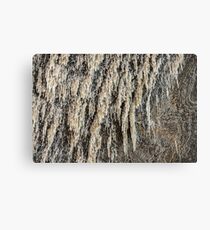 Salt Mine Canvas Print