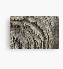 Salt Mine Canvas Print
