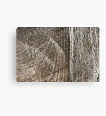 Salt Mine Canvas Print