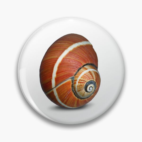 Item preview, We shape life like a snail its shell. designed and sold by Marc DEFORTESCU.