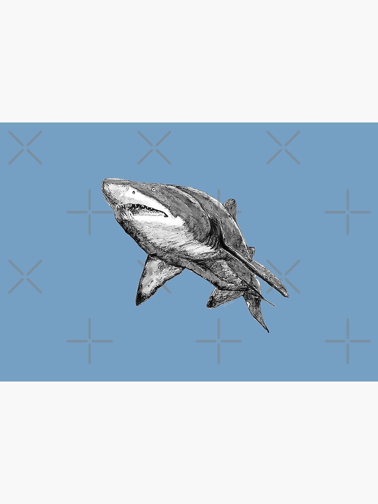 Nancy the Grey Nurse Shark by Wildcard-Sue