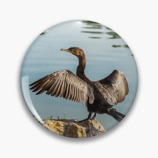 Item preview, Neotropic Cormorant with Wings Spread designed and sold by Jeff Goulden Photography.