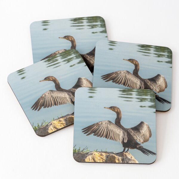 Item preview, Neotropic Cormorant with Wings Spread designed and sold by Jeff Goulden Photography.