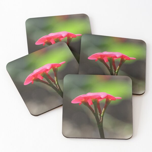 Item preview, Delicate Flowers, Euphorbia Milli, study 3 designed and sold by Geoff Treagus.
