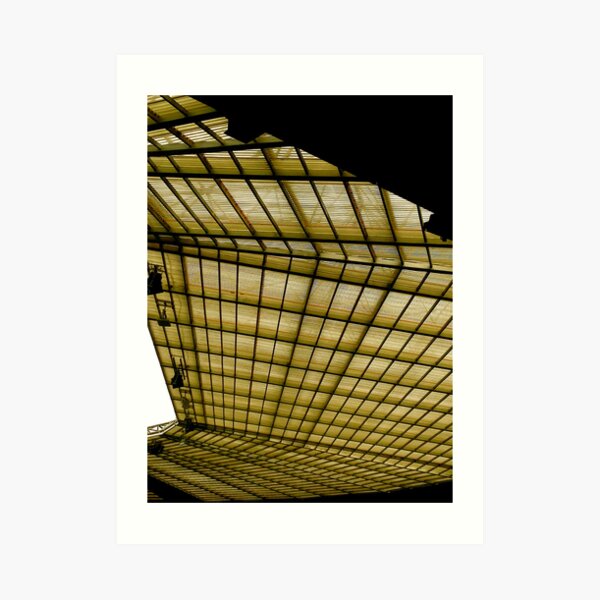 The roof, Twickenham Art Print