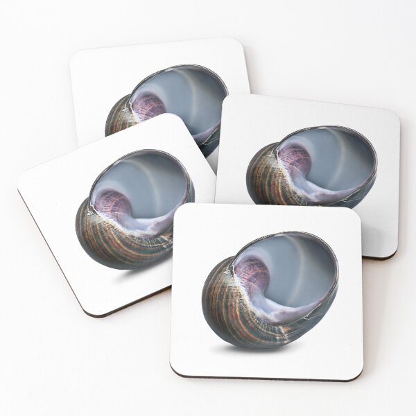 Item preview, Like a snail, time drags on. designed and sold by Marc DEFORTESCU.