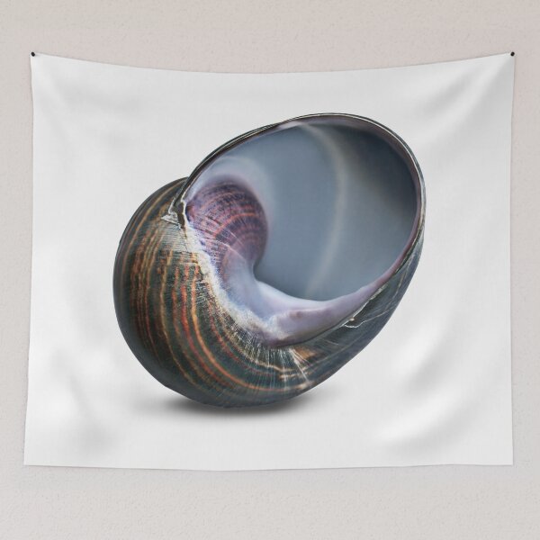 Item preview, Like a snail, time drags on. designed and sold by Marc DEFORTESCU.