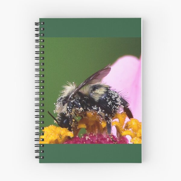 Item preview, bumble bee designed and sold by Maureen Zaharie.