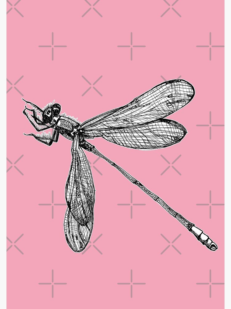 Lynette the Dragonfly by Wildcard-Sue