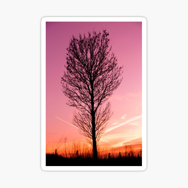 Item preview, Tree silhouette, landscape photo designed and sold by Stéphane  Thirion.