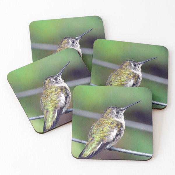 Item preview, hummingbird designed and sold by Maureen Zaharie.