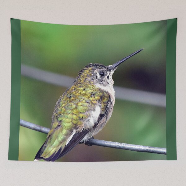 Item preview, hummingbird designed and sold by Maureen Zaharie.