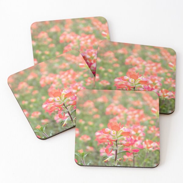 Item preview, Indian Paintbrushes designed and sold by kayleecogbill.
