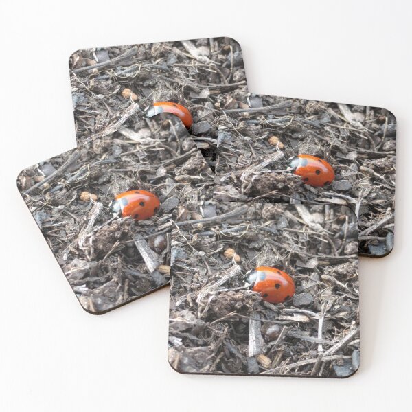 Item preview, Lady Bug designed and sold by HootenannyPhoto.