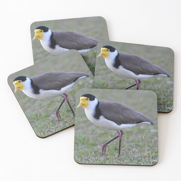 Item preview, A Plover At Labrador Broadwater. Gold Coast, Australia. designed and sold by Ralph de Zilva.