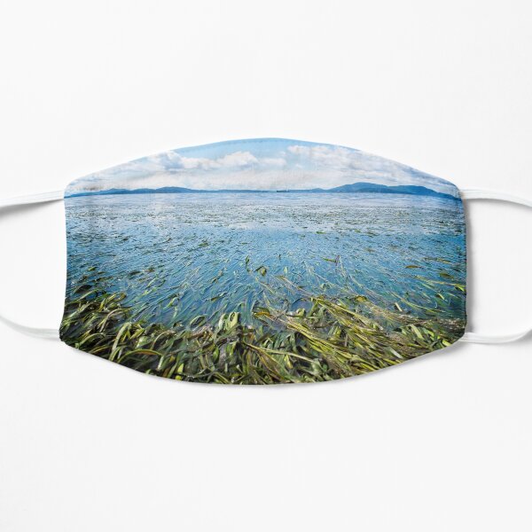 Ebb&Flow Mask
