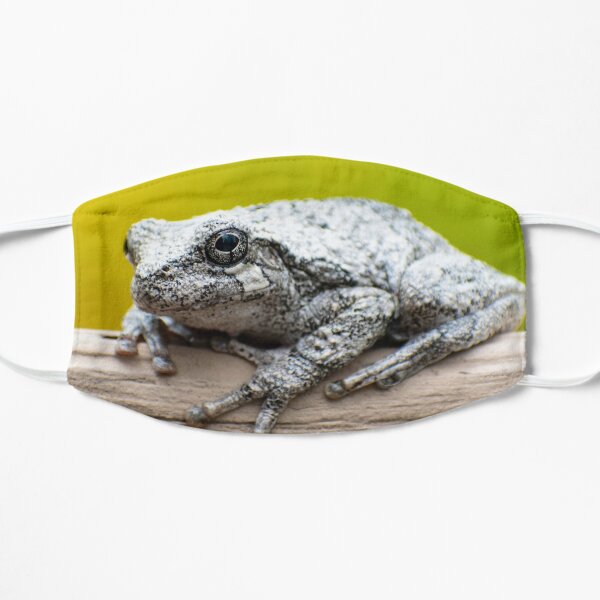 Portrait of a Frog Flat Mask