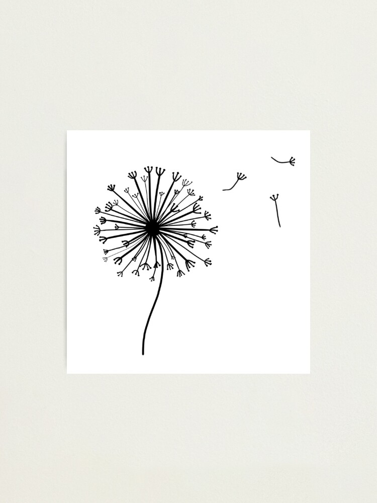 dandelion-drawing-photographic-print-for-sale-by-aburges5-redbubble