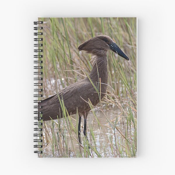 Item preview, Interesting Wading Bird designed and sold by Marylou Badeaux.