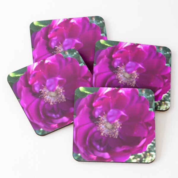 Item preview, Purple Wild Rose Nature designed and sold by Kaushal Pal.
